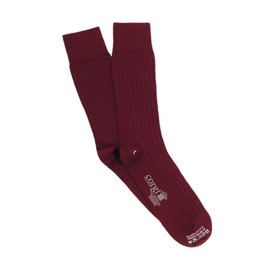 Mens Tenby Ribbed Merino Wool Socks in Wine