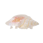 Feline Conch Shell Hair Claw in White