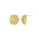 Statement Crystal Burst Stud Earring in Crystal