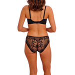 Sensu Lace Brief in Black