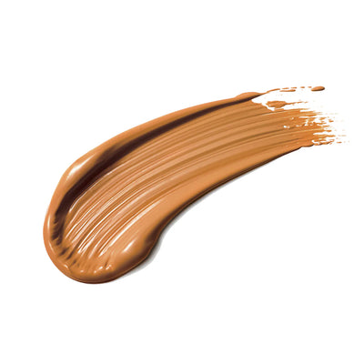 DELILAH Time Frame Future Resist Foundation SPF 20 in Chestnut