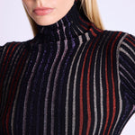 A Glitter Lurex Stripe Roll Neck in Black Multi